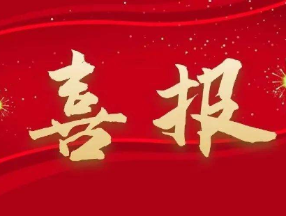 我司荣获上海市建设工程咨询行业基层党组织示范点 “建设先锋”称号